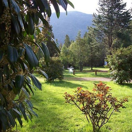 Cabanas Auquin Lemu Lago Puelo Extérieur photo