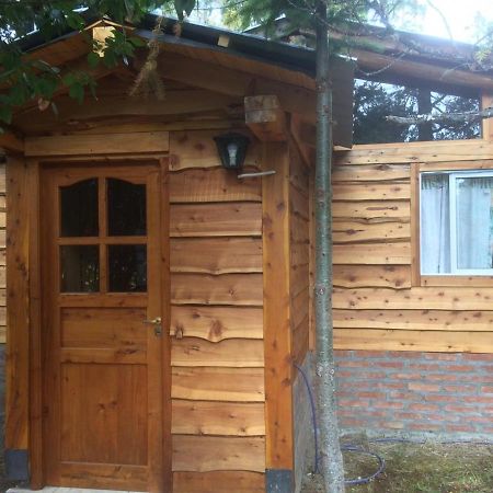 Cabanas Auquin Lemu Lago Puelo Extérieur photo