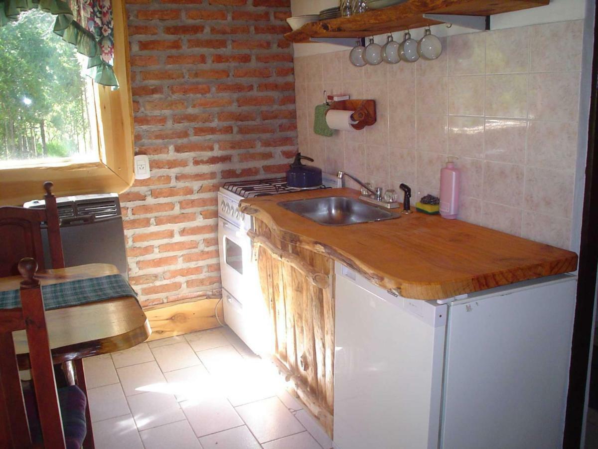 Cabanas Auquin Lemu Lago Puelo Extérieur photo